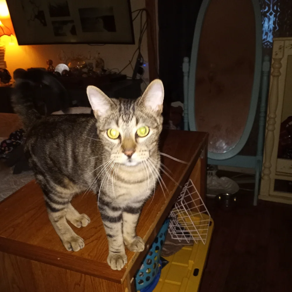 Contest - Picture 10 of 10